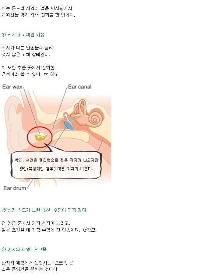 인종별 특징~ | 인스티즈