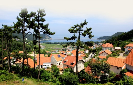  우리나라에서 이국적인 분위기를 느끼거나 맛볼 수 있는 곳 | 인스티즈