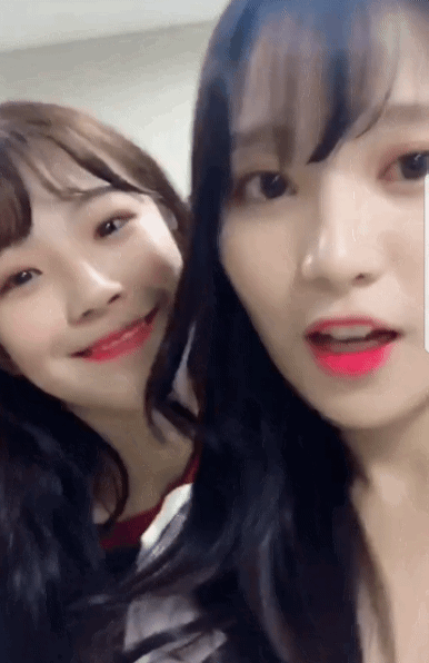 약간 이해가 안되는 여자아이돌 행동.gif | 인스티즈