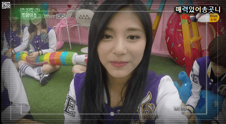 트와이스 외국인 멤버 속담퀴즈 | 인스티즈