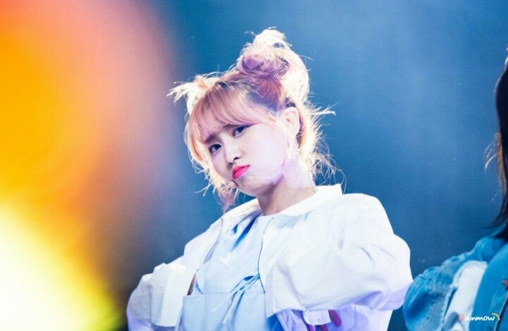 [트와이스] 뿌까머리가 잘어울리는 모모 | 인스티즈