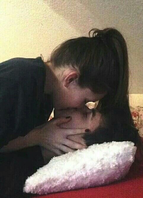 보기만 해도 사랑스러운 비글커플 모음.jpg | 인스티즈