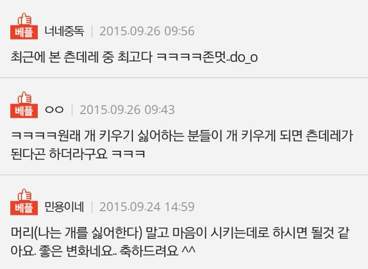 [판] 짐승을 좋아한다는게 이런 건가요? | 인스티즈