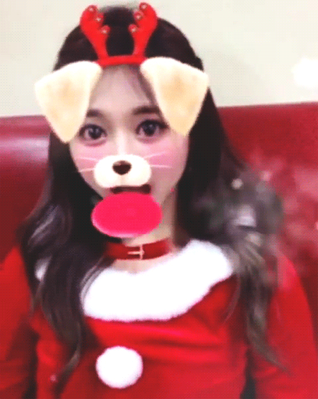 강아지같은 쯔위 | 인스티즈