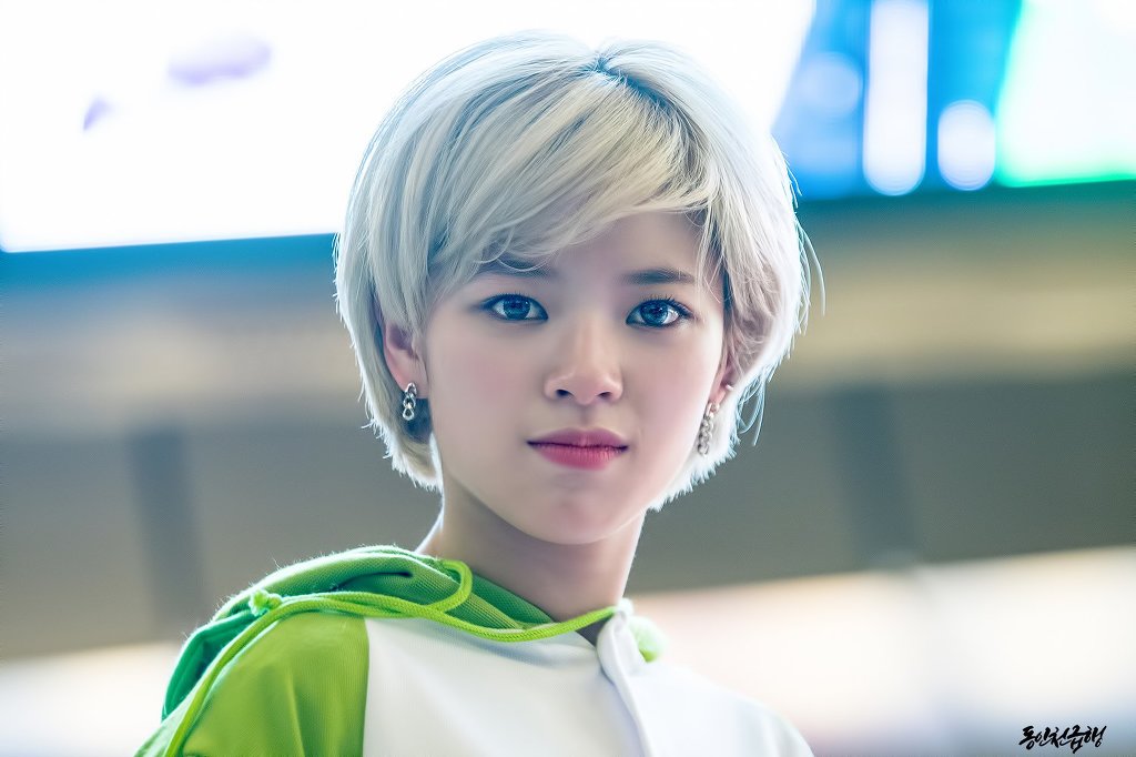 공룡옷 입고 귀여움 터지는 트와이스 정연 | 인스티즈