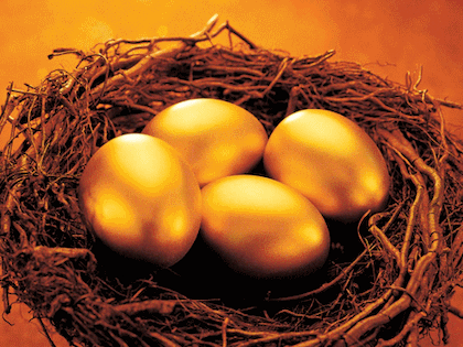 무술년 새해 우리 흰님덜도 새해 복 많이 받으십시오 | 인스티즈