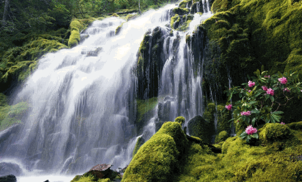 [방탄소년단/김태형] 숲 속의 그 남자 01 | 인스티즈