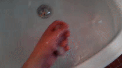 생각보다 심각해 보이는 유튜브 내 햄스터 학대2 (ft.수영/목욕) | 인스티즈