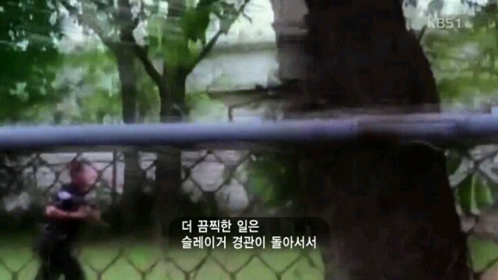 도망가는 흑인의 등을 쏘고 거짓말을 한 백인 경찰 | 인스티즈