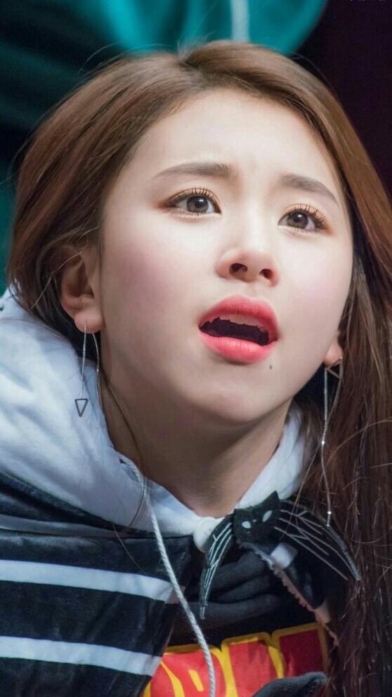 트와이스 아기맹수 채영이 | 인스티즈