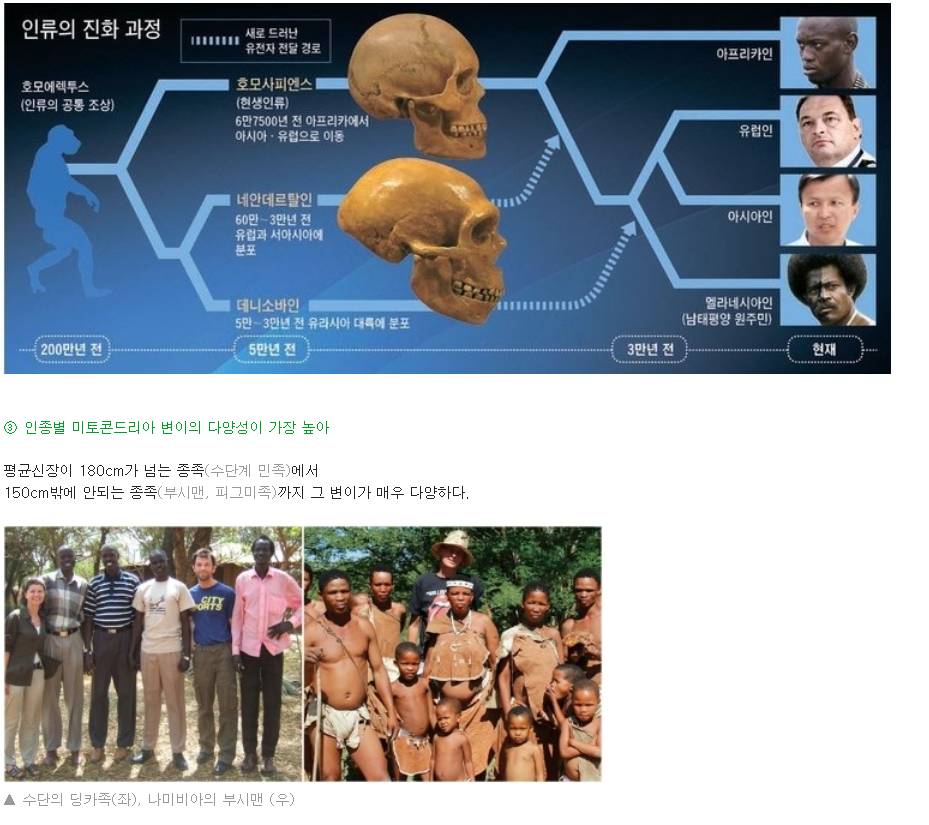 인종별 특징~ | 인스티즈