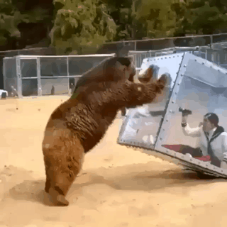 일본 예능 클라스.gif | 인스티즈