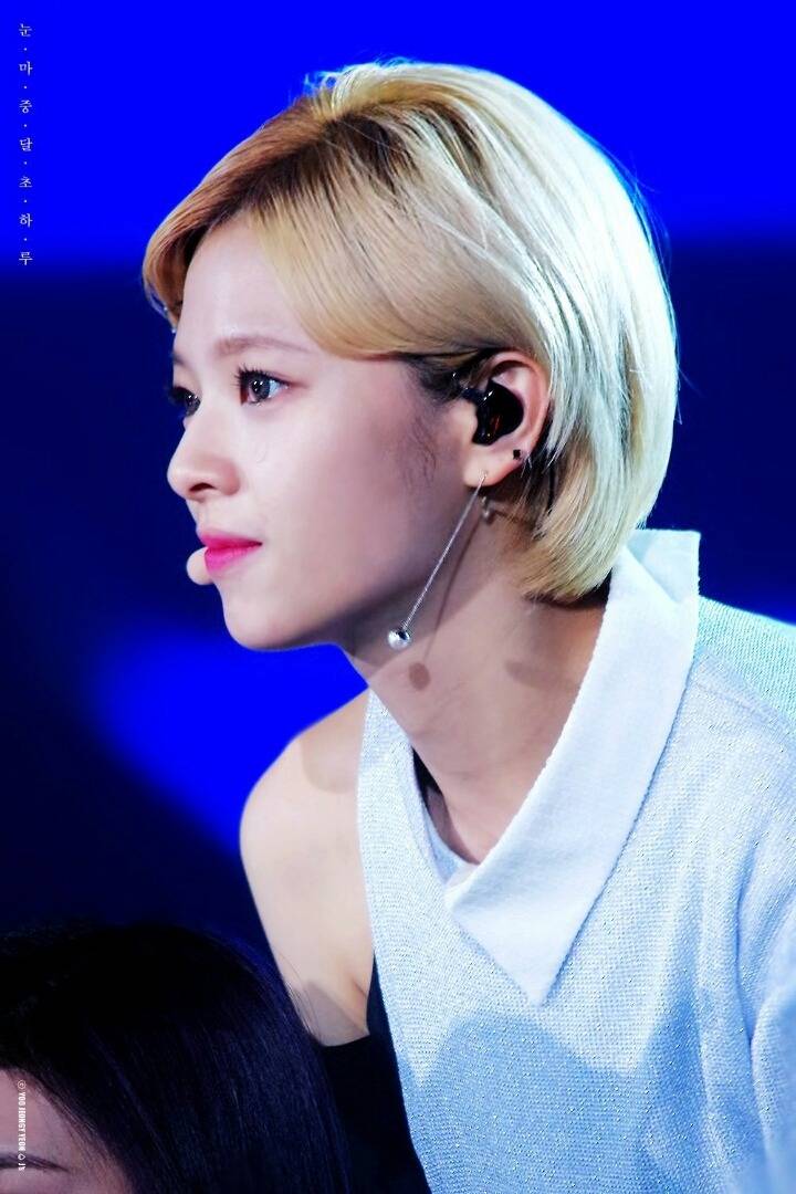 2017 첫 트와이스 정연 | 인스티즈