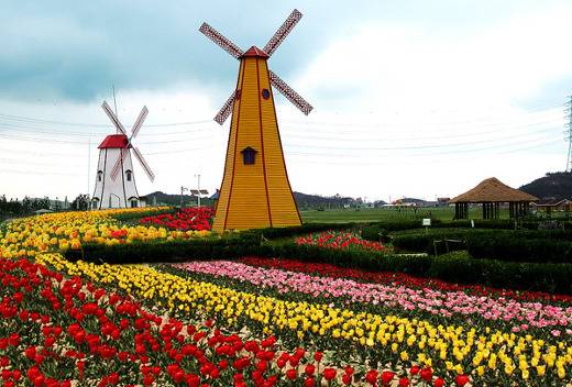 우리나라에서 이국적인 분위기를 느끼거나 맛볼 수 있는 곳 | 인스티즈