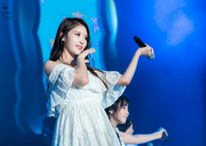 [러블리즈] 고양이들이 더위먹어서 러블리즈 | 인스티즈