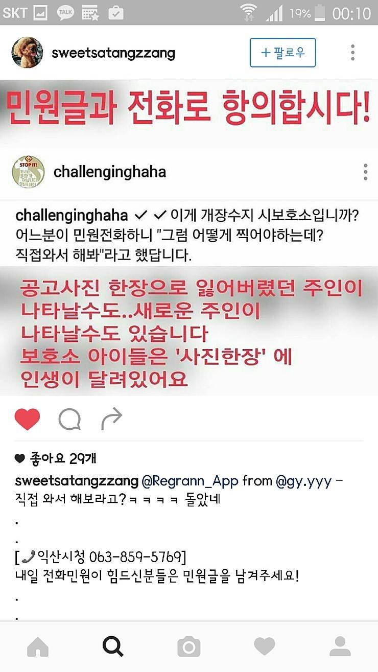 익산유기동물보호소의 공고사진 항의전화나 민원글쓰자(강아지 마음아픈사진있어)! | 인스티즈