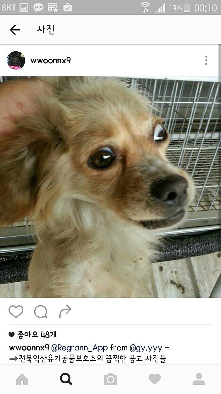 익산유기동물보호소의 공고사진 항의전화나 민원글쓰자(강아지 마음아픈사진있어)! | 인스티즈