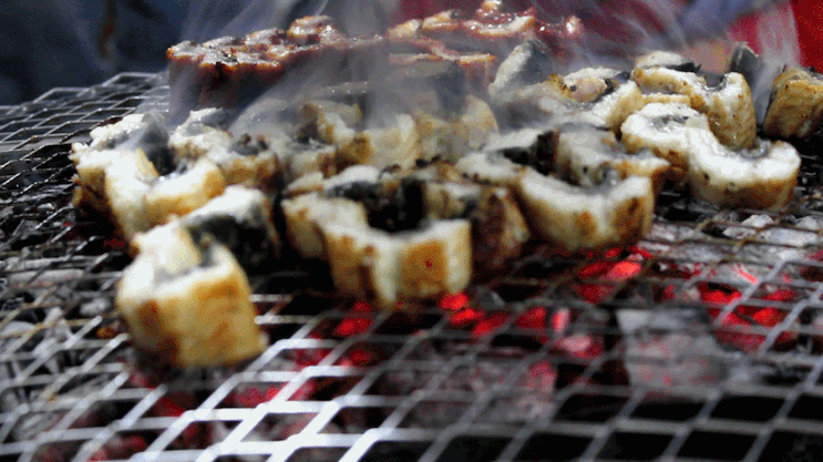 고소한 장어구이 움짤 gif | 인스티즈