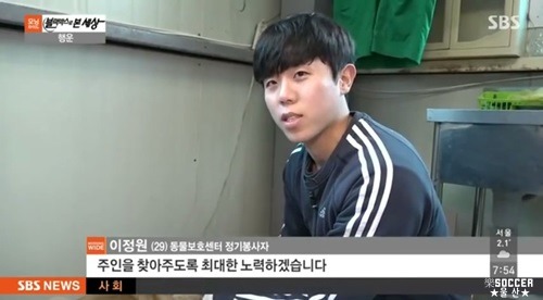 차에 치인 강아지.jpgif (훈훈주의) | 인스티즈