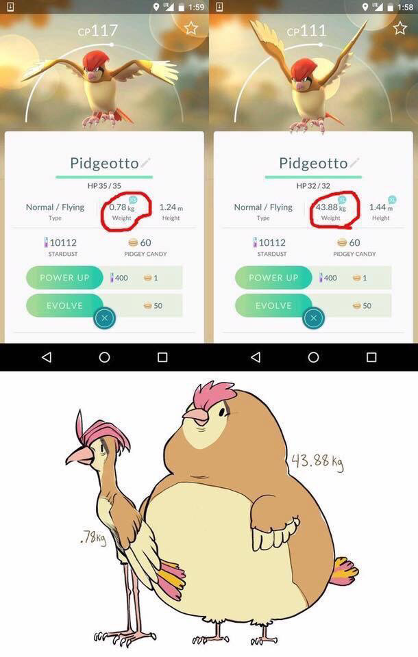 뭔가 이상한 포켓몬go | 인스티즈