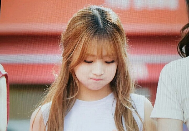 [프로듀스101] 오늘자 대구 동성로 게릴라 귀여운 짹짹갓 한혜리 | 인스티즈