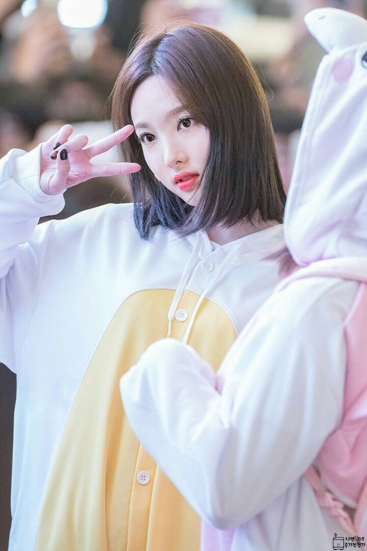 [트와이스] 혼자 앉아 있는 쭈구리 토끼 나연이(데이터주의) | 인스티즈