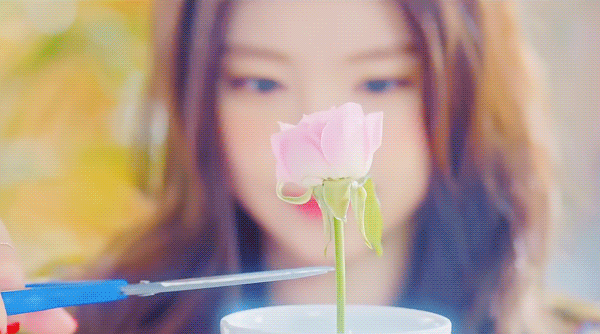 에이핑크 손나은 생일 기념.jpgif | 인스티즈