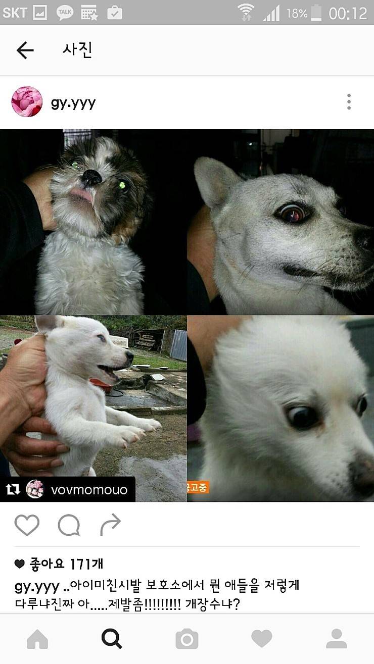 익산유기동물보호소의 공고사진 항의전화나 민원글쓰자(강아지 마음아픈사진있어)! | 인스티즈