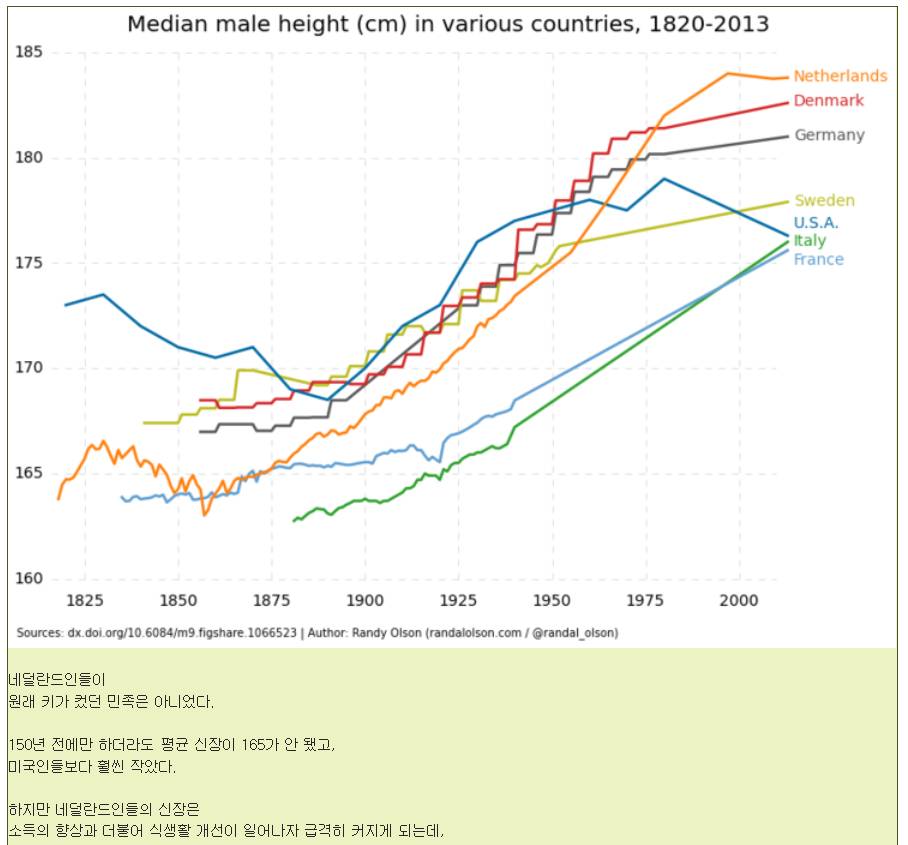 인종별 특징~ | 인스티즈
