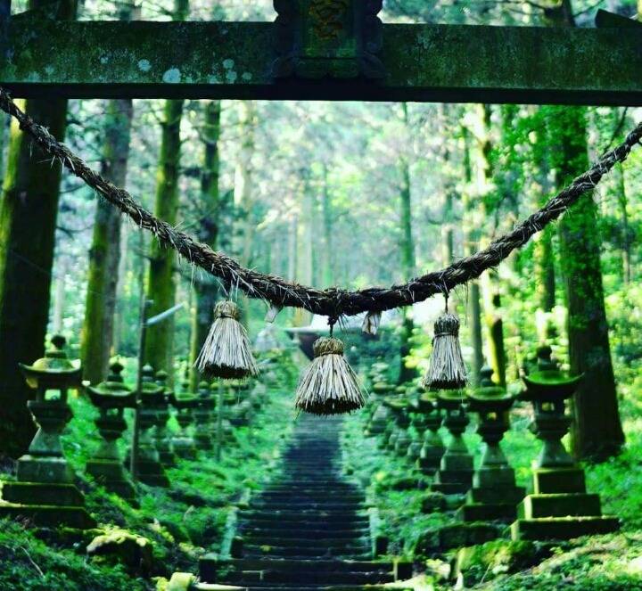 일본에서 가장 분위기 있는 신사로 선정된 쿠마모토의 쿠마노이마스신사 | 인스티즈