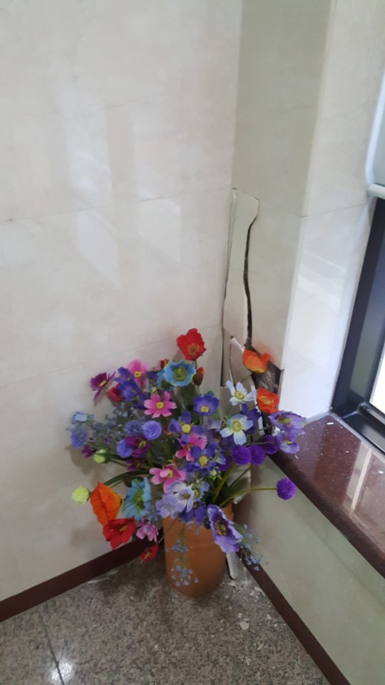 와 포항지진.. | 인스티즈