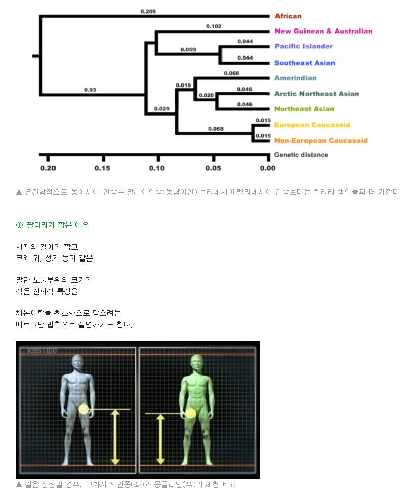 인종별 특징~ | 인스티즈