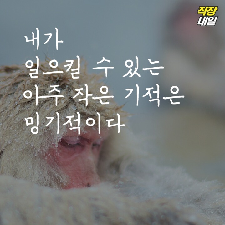 직장인 현실 명언 11가지 | 인스티즈