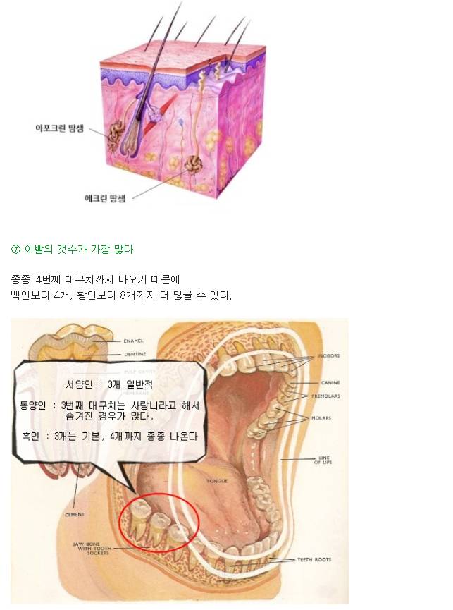 인종별 특징~ | 인스티즈