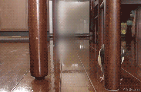 배린이.gif | 인스티즈