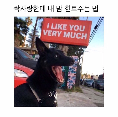 사람 사는 건 어디나 똑같다. 미국 짤 번역 | 인스티즈