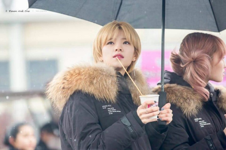 트와이스 정연 | 인스티즈