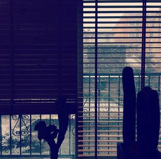 허지웅 에세이 버티는 삶에 관하여 中 인상적인 글귀 모음집 | 인스티즈