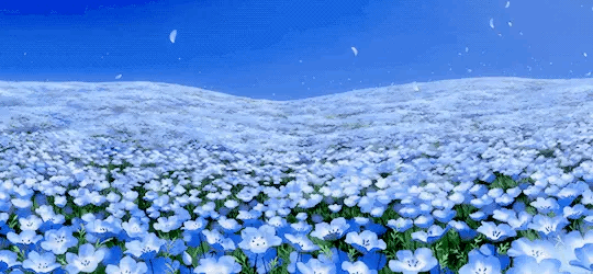 [감성이미지] anime scenery GIFS | 인스티즈