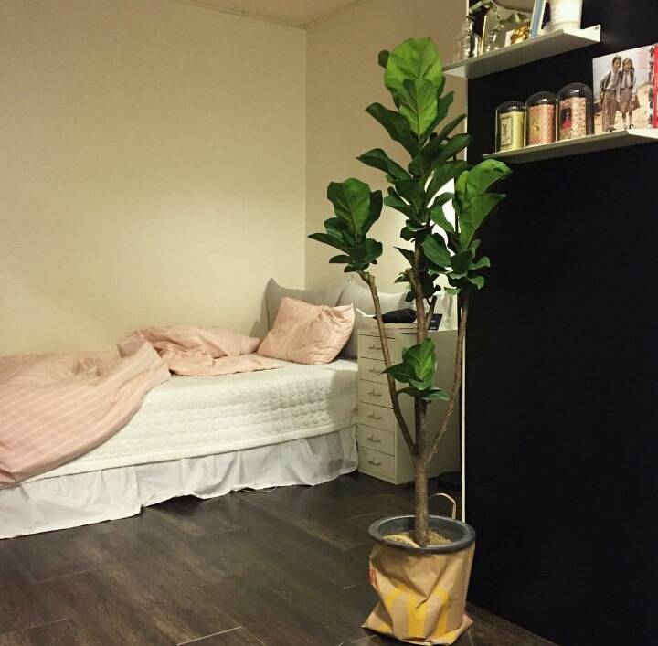 자취방 특유의 아늑하고 따뜻한 분위기가 나는 인테리어들 모음 | 인스티즈