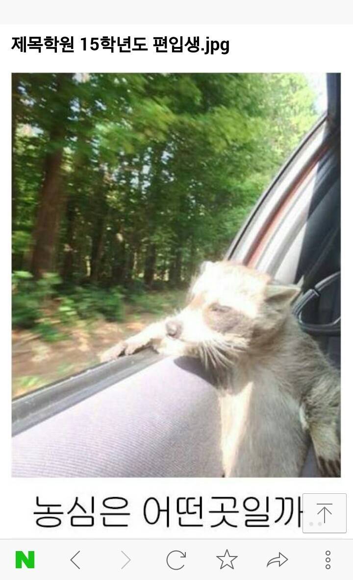 농심가는길 | 인스티즈