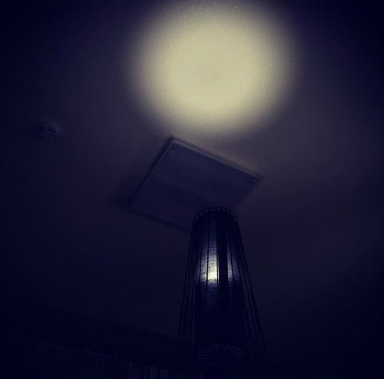 허지웅 에세이 버티는 삶에 관하여 中 인상적인 글귀 모음집 | 인스티즈