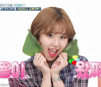 채영이 기여어 | 인스티즈