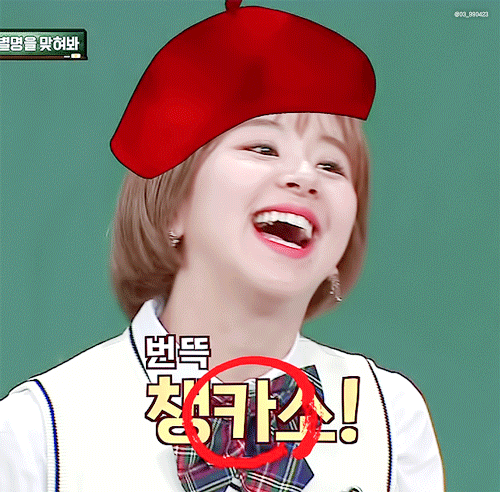 채영이 기여어 | 인스티즈