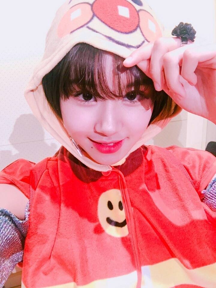 채영이 기여어 | 인스티즈