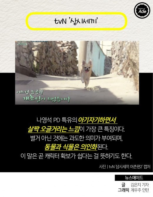 나의 예능 자막 취향은?.jpg | 인스티즈