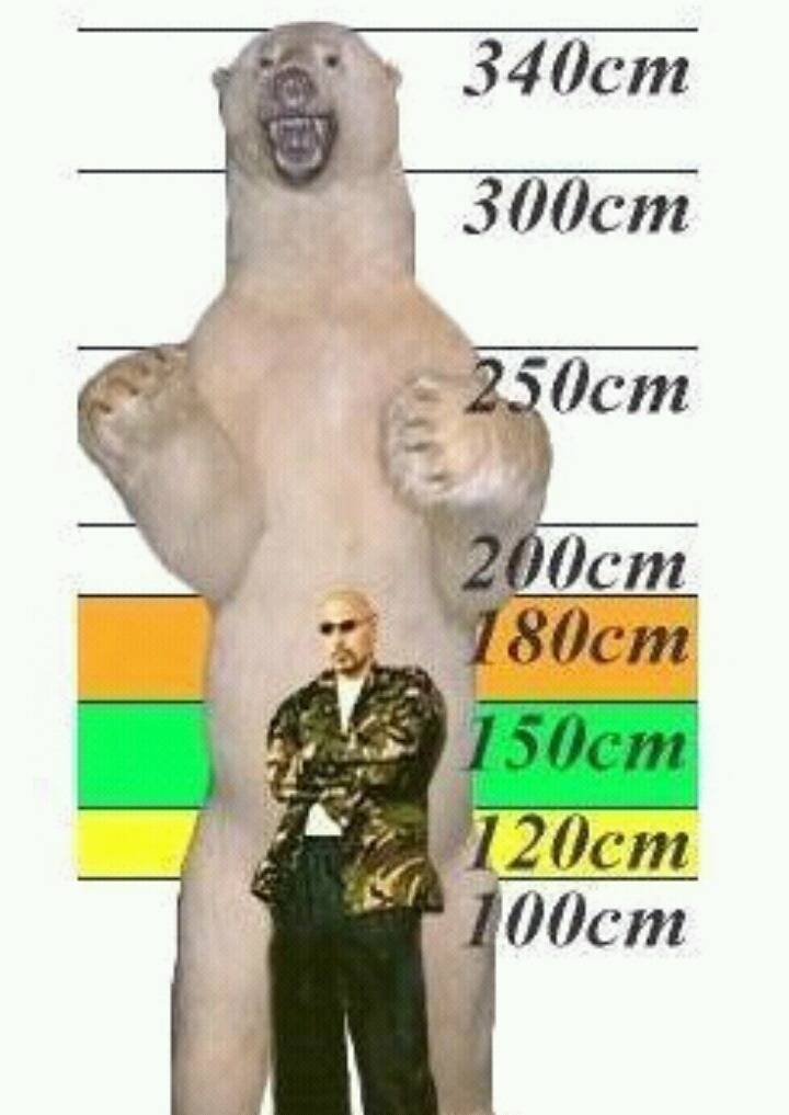 범고래가 돌고래만한줄알았던 한낱먼지같은 나여시가 범고래크기를찾아봤어요ㅇㅅㅇ)/ | 인스티즈