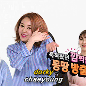 트와이스 채영 | 인스티즈