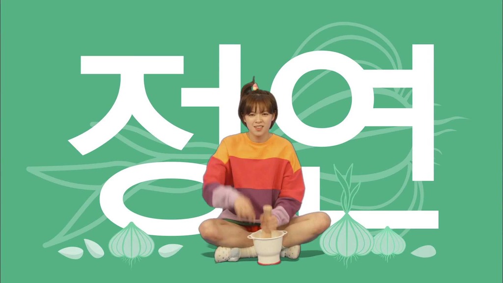 [트와이스] 개인적으로 정말 맘에드는 트와이스 리얼리티 프로그램 [우아한 사생활] 오프닝 | 인스티즈