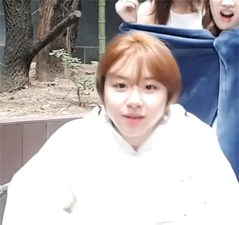 트와이스 채영 | 인스티즈